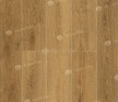 SPC ламинат Alpine Floor Grand Sequoia ТАКСОДИУМ ECO 11-30